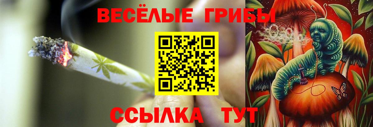 Черногорск  Псилоцибиновые грибы мицелий  Вход с VPN  Псилоцибиновые грибы мухоморы 